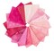 Dragonfruit Elements Fat Quarter Bundle by AGF Studio for Art Gallery (CB-EFQ401)
